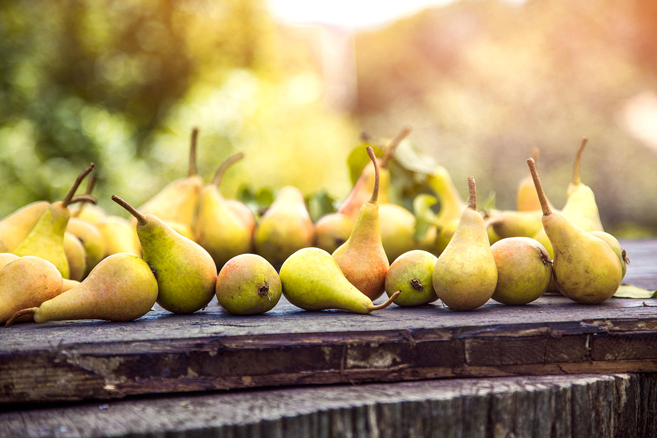  Importer and distributor of pears in France and Europe - Beva Fruits International (BFI)