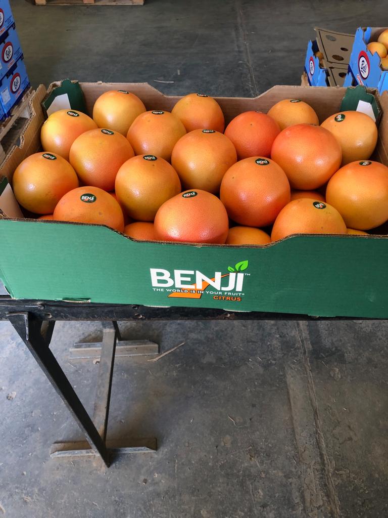 Citrus fruits packed for importation - Beva Fruits International (BFI)