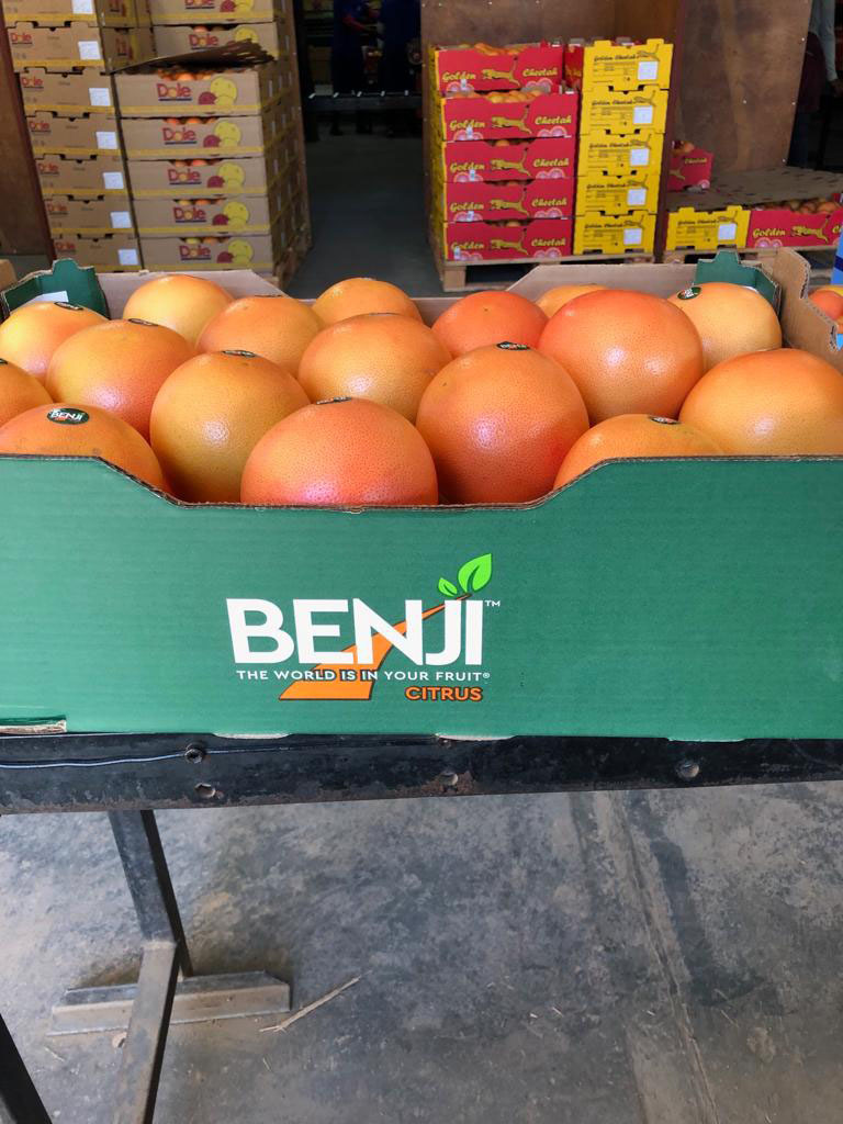 Grapefruits packed by Benji Citrus for importation - Beva Fruits International (BFI)