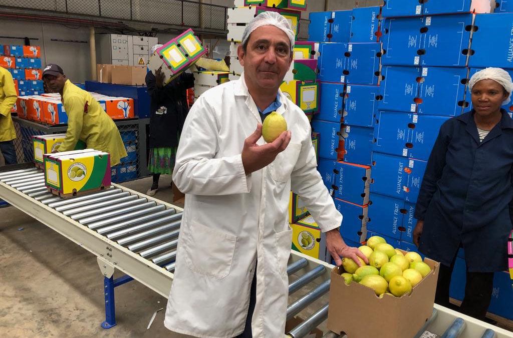 New packing facility of one of Alliance’s grower Ambrosia