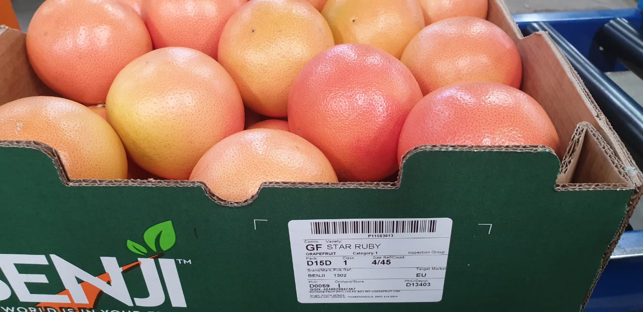 Grapefruits collected and packaged in South Africa - Beva Fruits International (BFI)