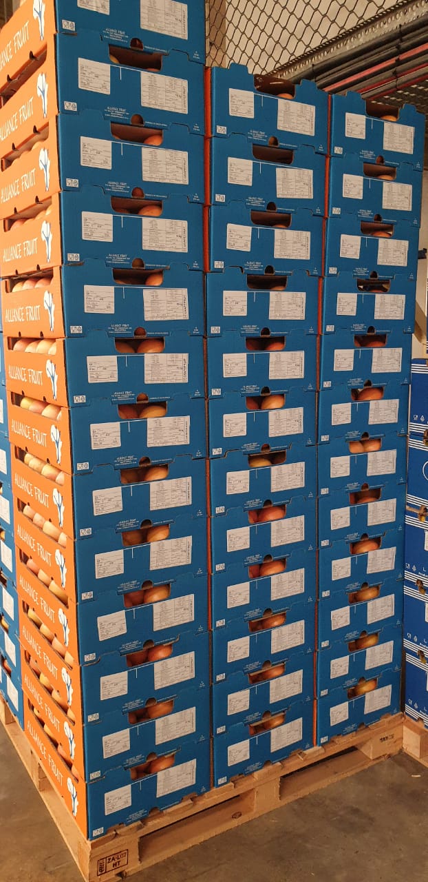 Grapefruit packed in Alliance Fruit boxes - Beva Fruits International (BFI)
