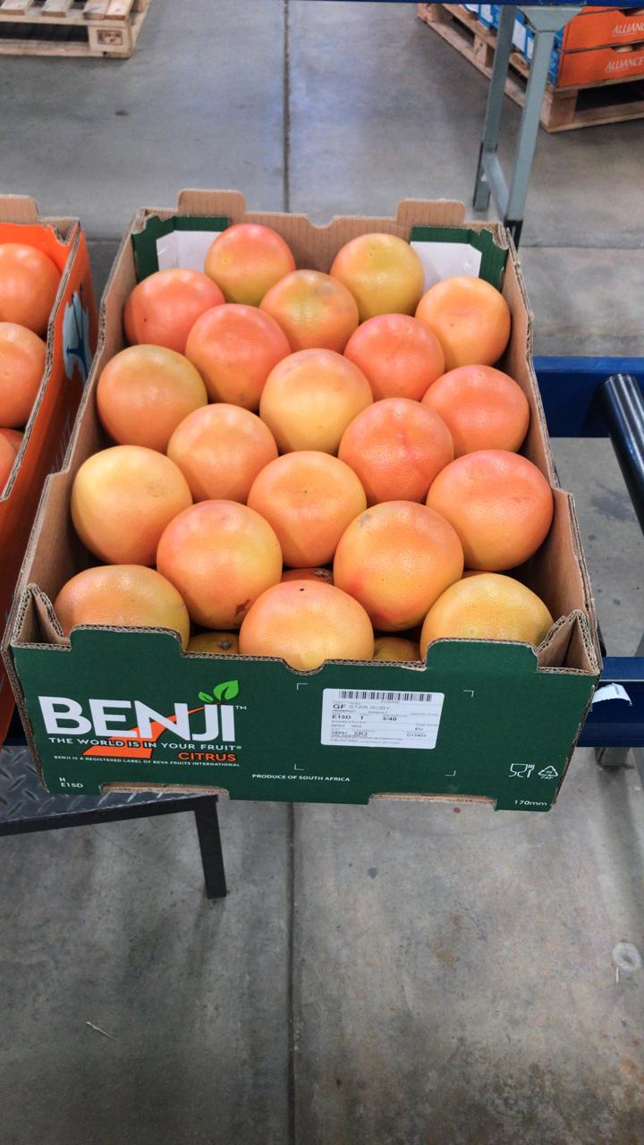 Grapefruit in BENJI CITRUS box in South Africa - Beva Fruits International (BFI)
