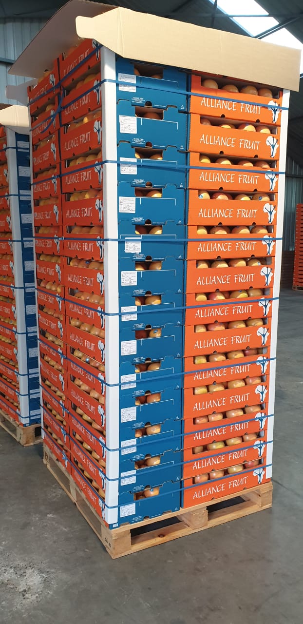 Grapefruits in Alliance Fruit boxes - Beva Fruits International (BFI)