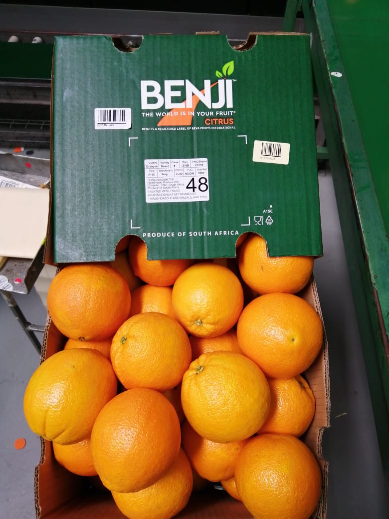 Primera caja navels de Benji - Beva Fruits International (BFI), importador de fruta fresca en Europa