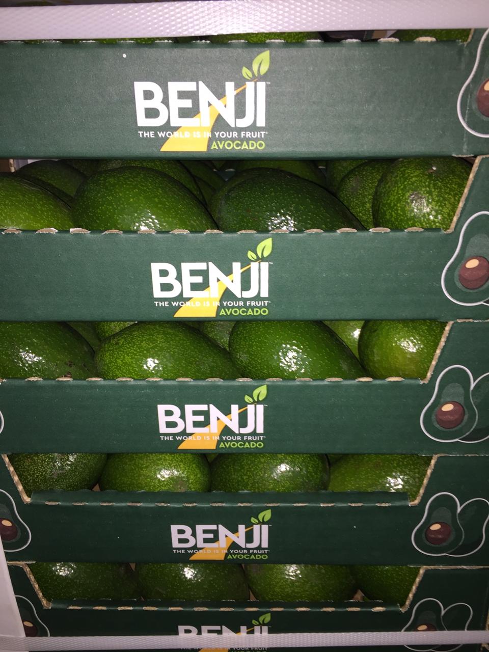 Paquet d'avocats emballés au Maroc de la marque Benji - Beva Fruits International (BFI)