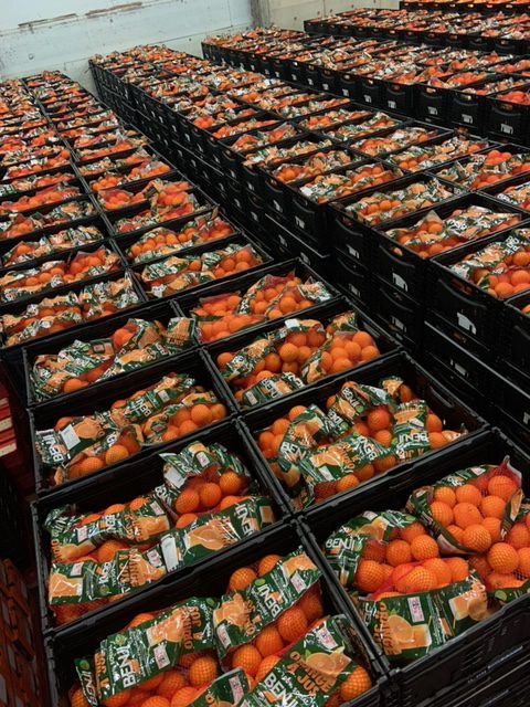  BFI et Carrefour France se battent pour la cause des violences faites aux femmes avec une levée de fonds sur la vente d'oranges - Beva Fruits International (BFI)