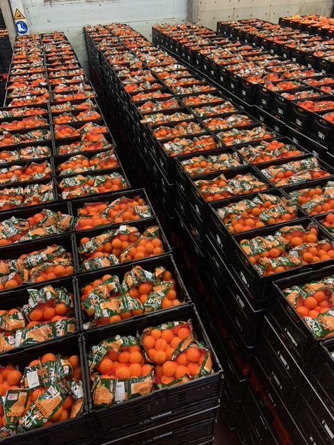 Oranges being packed while a fundraiser is organized by the BENJI label to help women that are violence victims - Beva Fruits International (BFI)