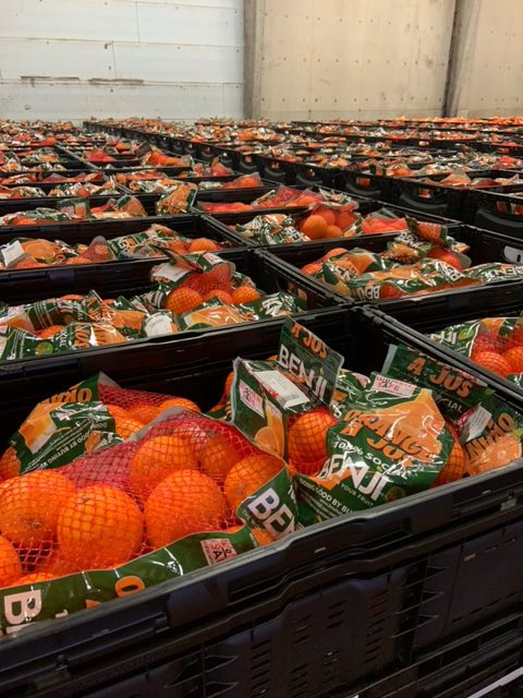 Oranges being packed while a fundraiser is organized by BENJI to help a social cause - Beva Fruits International (BFI)