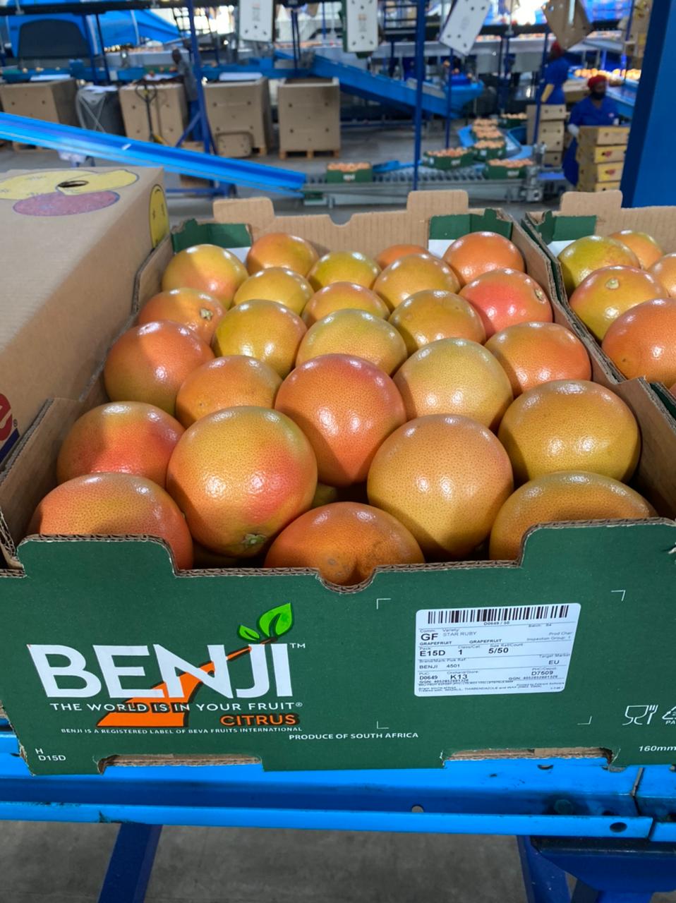 Box of grapefruits being shipped by Benji - Beva Fruits International (BFI)