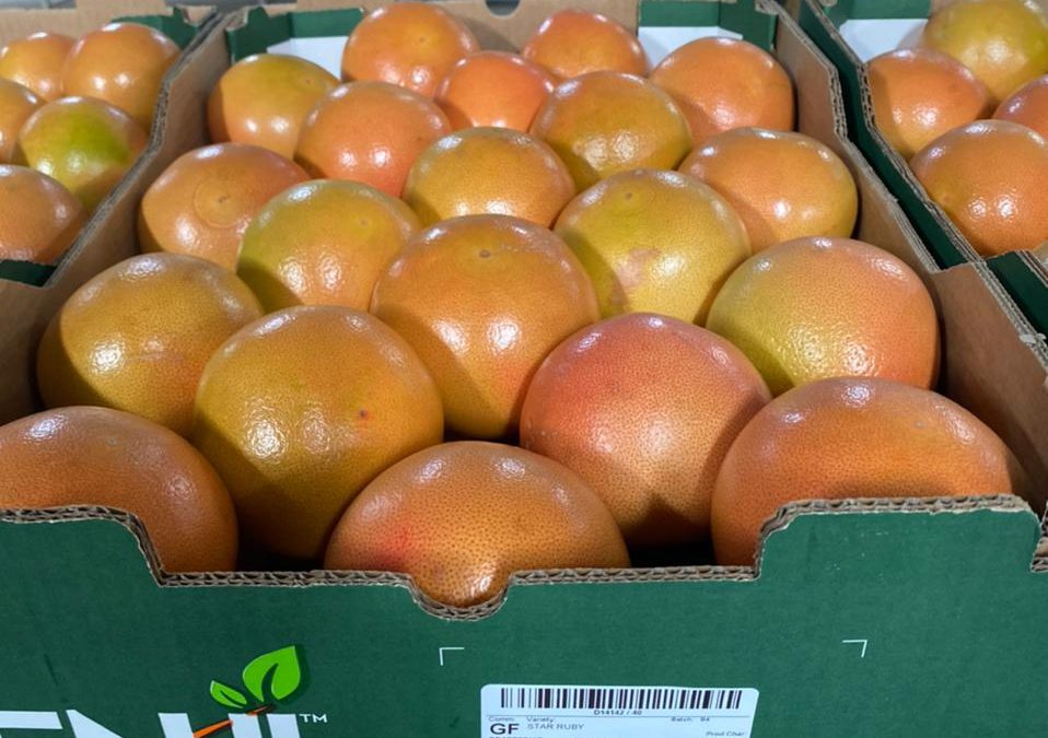 First Star Ruby Grapefruit to be packed by Benji in South Africa