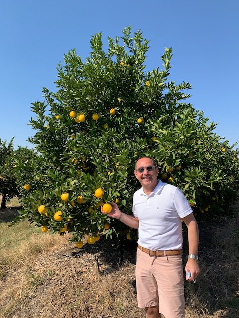 Bruno EDERY, CEO of BFI visits South African citrus production at the start of  the 2021 season.