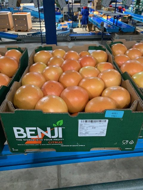  Production d'agrumes en Afrique du Sud début 2021 - Beva Fruits International (BFI)