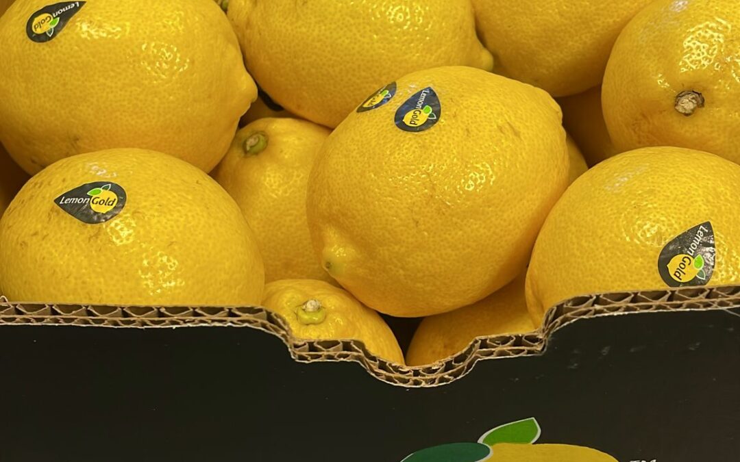 Beva Fruits International (BFI) se enorgullece de anunciar su primera llegada de limones Lemon gold(tm) Seedless